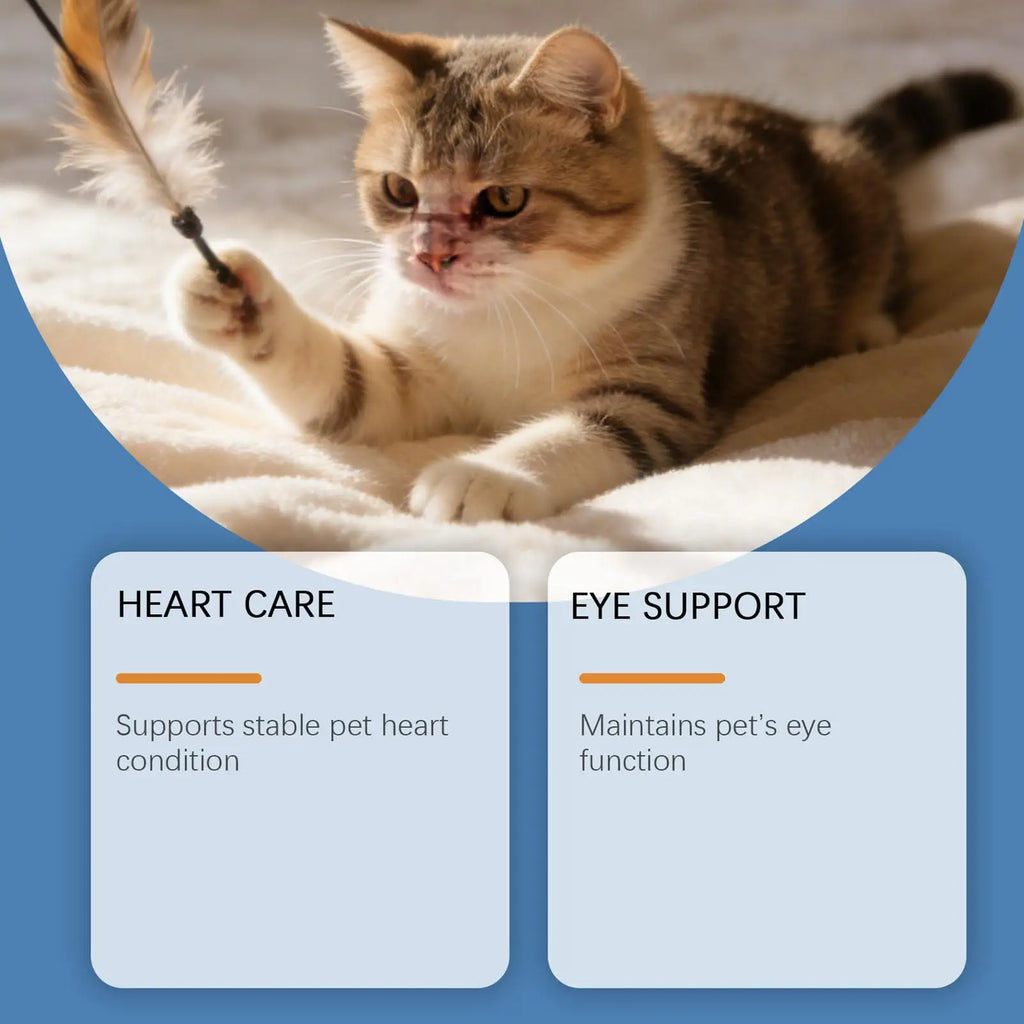 Cat Taurine Powder Support for Pet Heart Health Promote Maintain Visual Function Smooth Hair Pet Daily Care Nutrition Powder