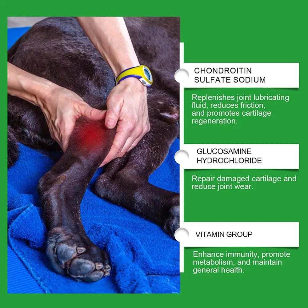Dog Joint Care Tablets Pet Hip and Joint Supplement Glucosamine Chondroitin Soft Chews Mobility Support Dog Health Nutrition