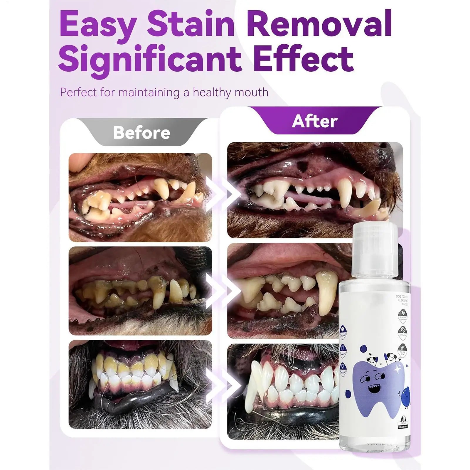 200ml Dog Water Additive For Teeth Care Natural Cat Breath Freshener Solution For Indoor Outdoor Travel Brushing Grooming Health