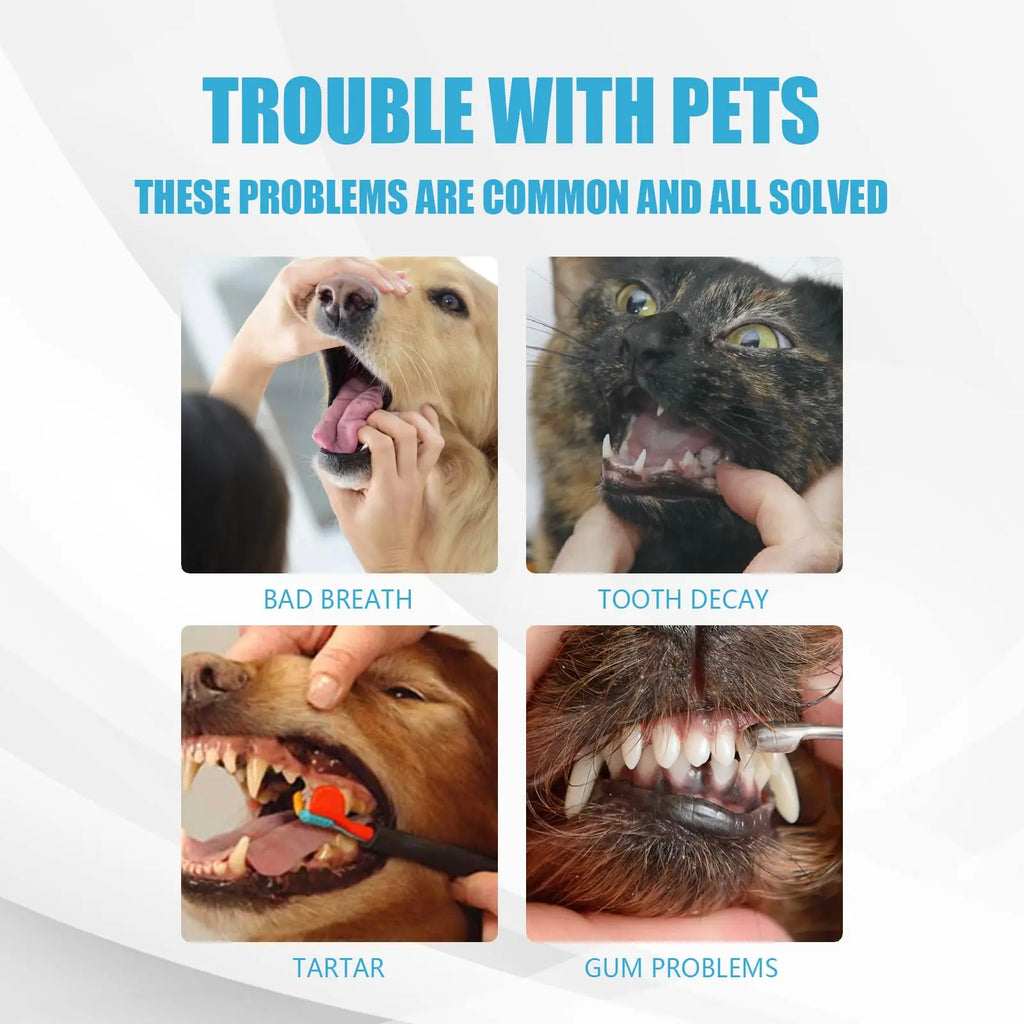Pet Toothpaste for Dogs Fresh Breath Oral Cleaning Bad Breath Dental Plaque Edible Toothpaste Improve Your Pet's Gum Health
