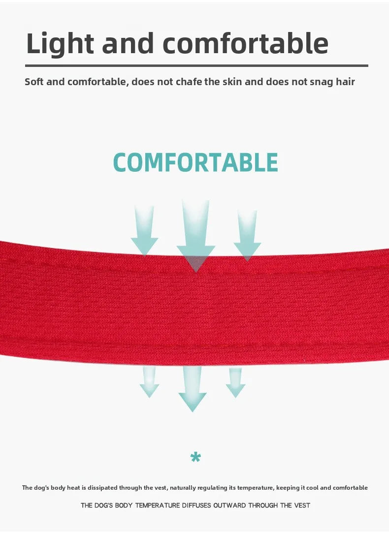 Dog Y shaped harness no pull reflective adjustable breathable and comfortable for small medium dogs walking training outdoor
