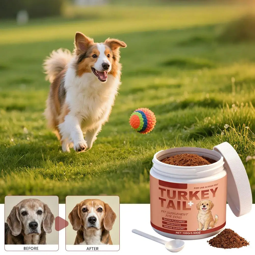 100g Bacon Flavored Pet Health Supplement Elderly Dog Maintenance Joint Intestinal Skin Care Dog Probiotics Immune Support Agent