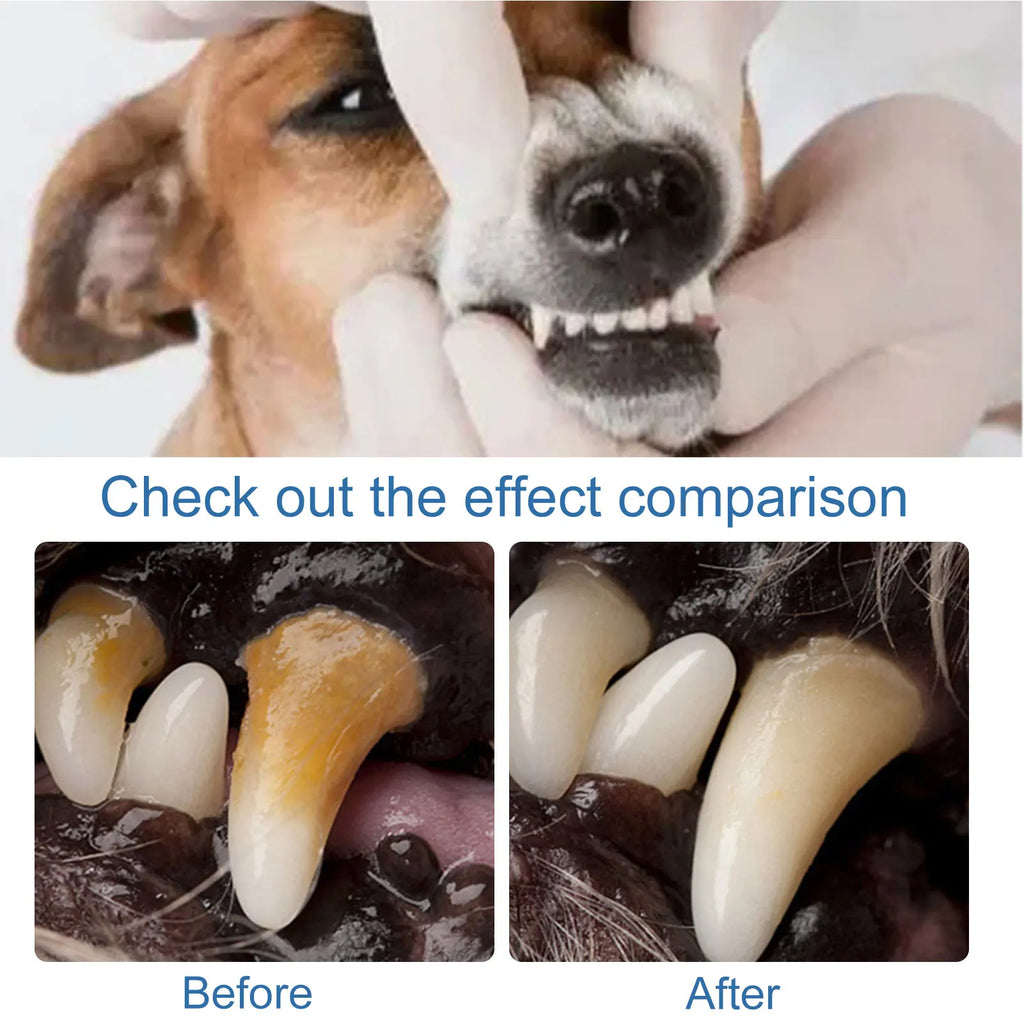 Dog Dental Care Foam Dog Oral Breath Freshener Keep Dog Breath Fresh And Teeth Clean Supports Gum Health Dog Dental Care.
