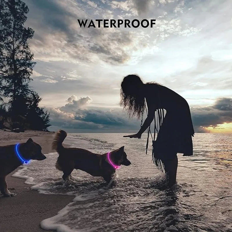 B Pet dog LED collar - Dog loss prevention collar - Adjustable collar - Safe USB charging collar - Pet supplies For use at night