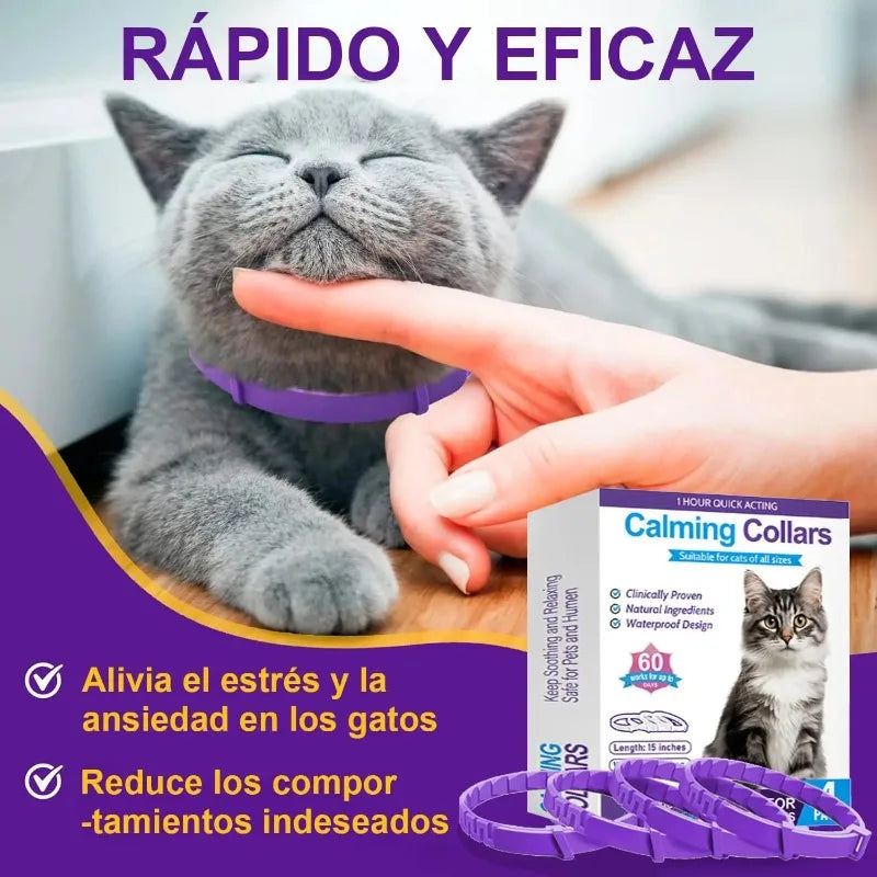 Cat Anxiety Relief Collar - 4 Pack Natural Calming Agent Odorant To Relieve Stress and Aggressive Behavior Adjustable Tightness
