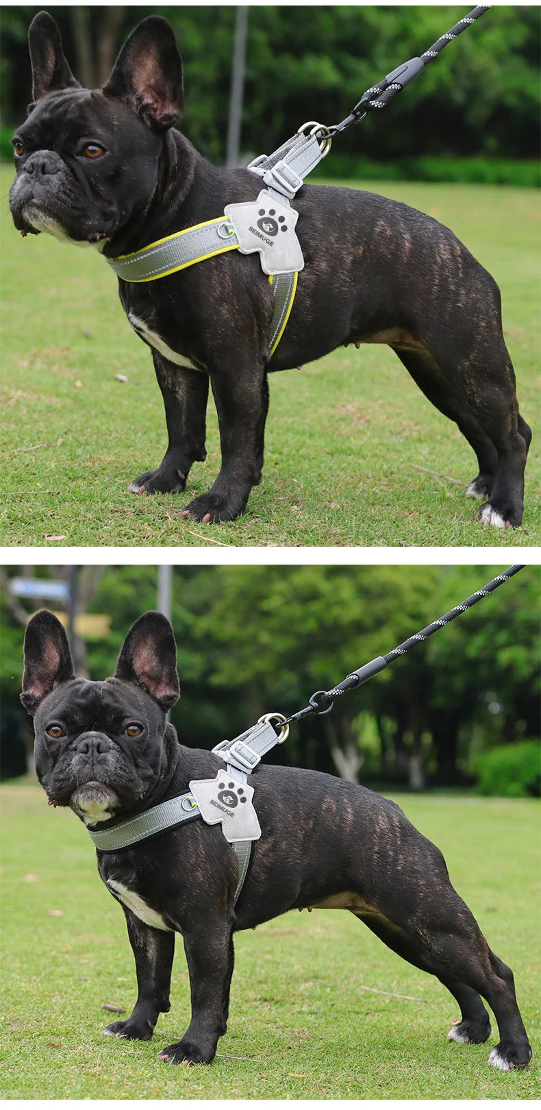 Dog Y shaped harness no pull reflective adjustable breathable and comfortable for small medium dogs walking training outdoor