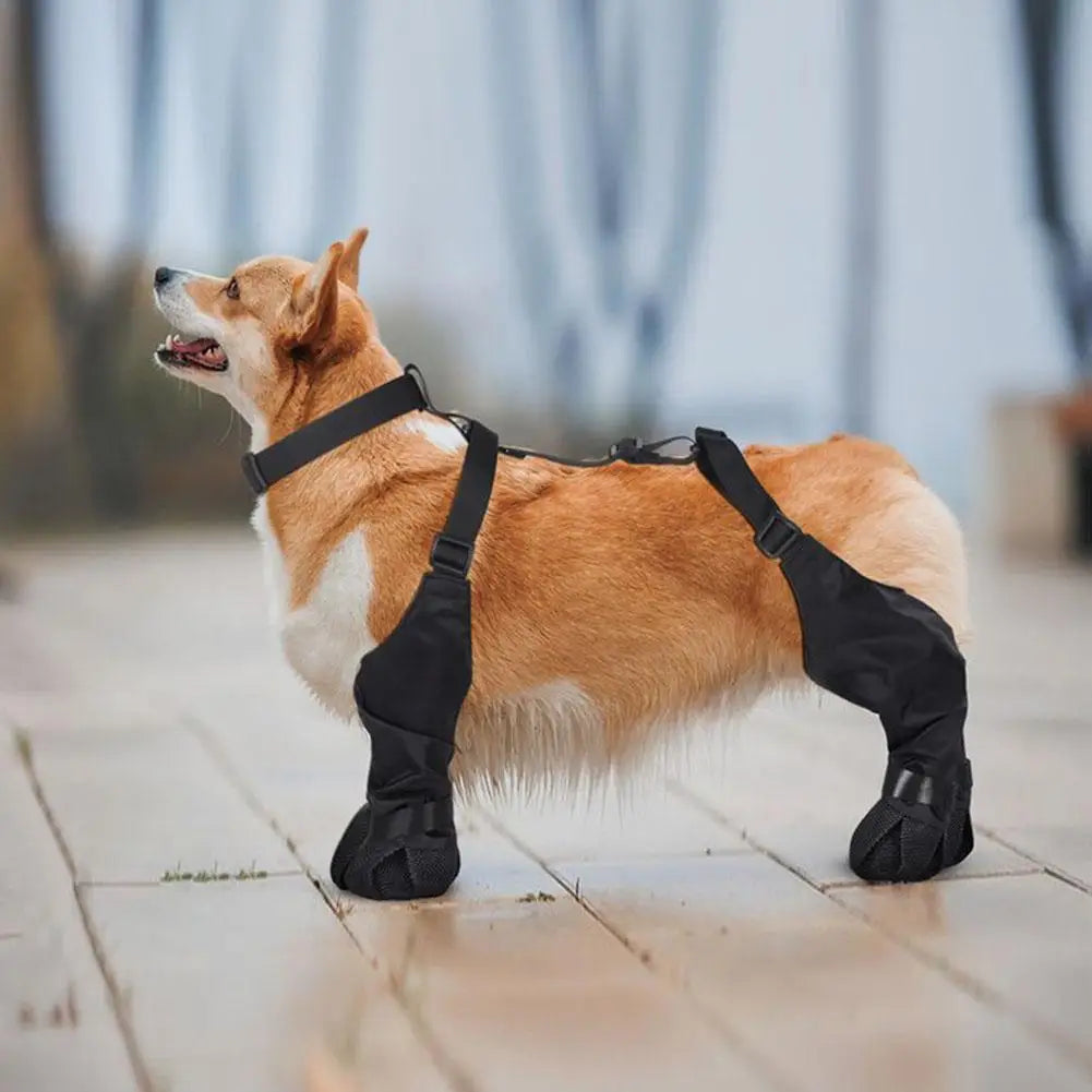 Best Anti-Slip Dog Shoes Pet Paw Protector Dog Rain Outdoor & Suspender Dog Dog Dirty-proof Shoes Anti-fall Booties, Sock S7G9