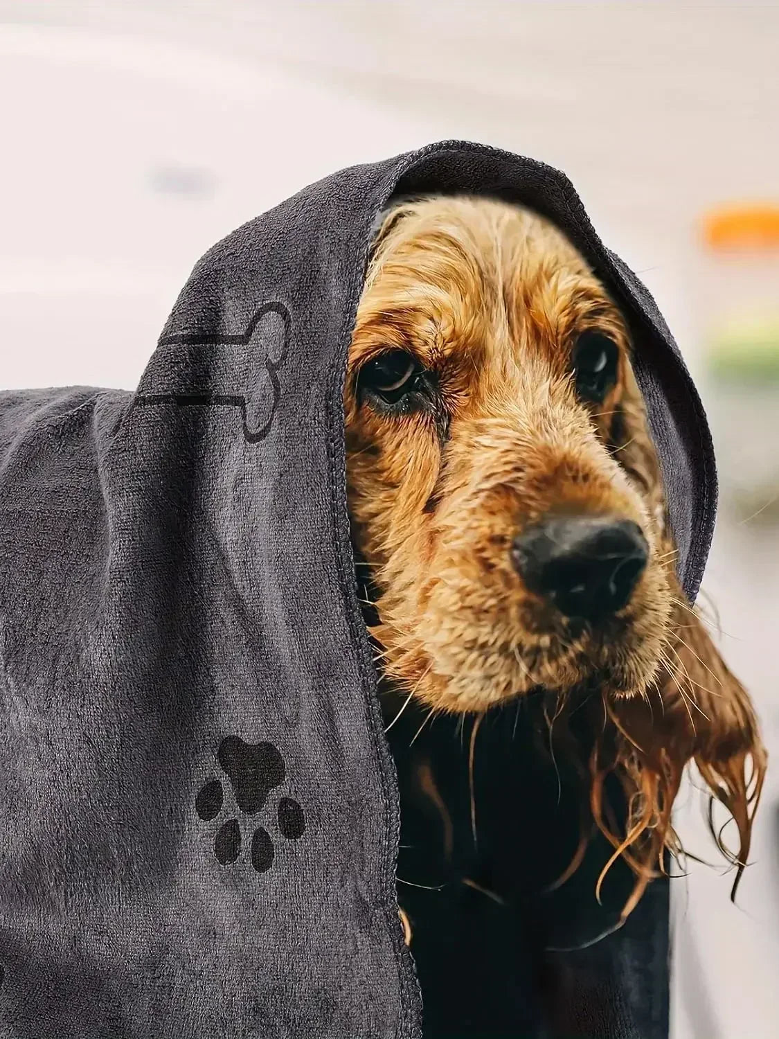 Quick-Drying Microfiber Dog Towel Absorbent Pet Bath Product Fiber Quick-drying Bath Towel Car Wiping Cloth Pet Supplies