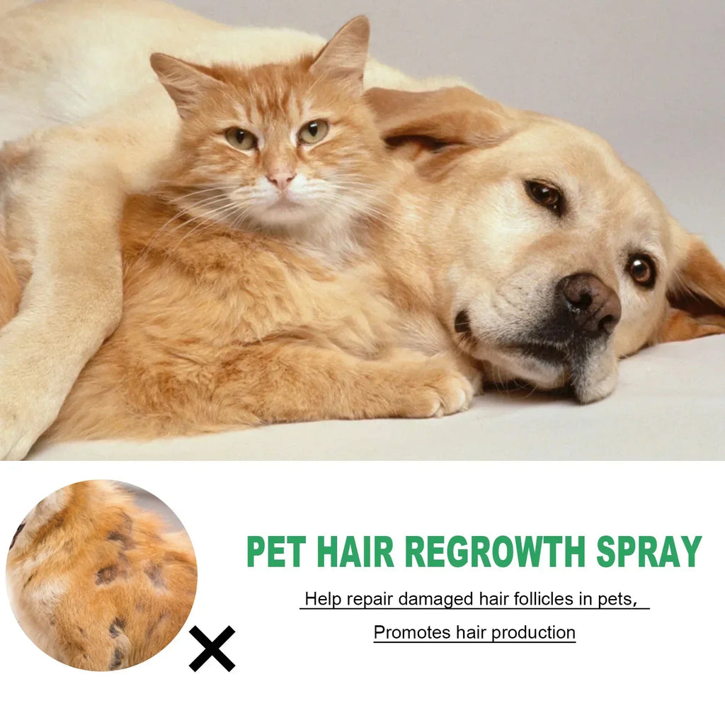 Dog Hair Loss Treatments Supplements for Dogs Cats Non-Toxic Safe Ingredient Use on Body Promotes Hair Growth