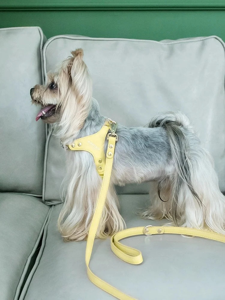 Arkika Dog Leash Small Dogs Chest Back Type Yorkie Teddy Pet out Walking Rope Non-Extensible Durable Pet Supplies