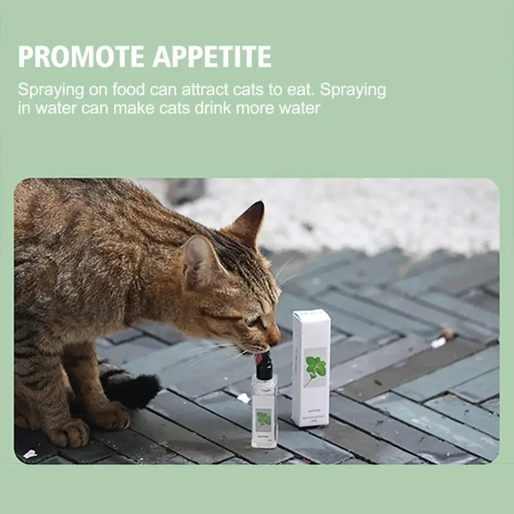 Cat Mint Calming Spray Anxiety Relief Increase Vitality Catnip Infused No Mess Pet Behavior Training Interactive Cat Toy for Cat