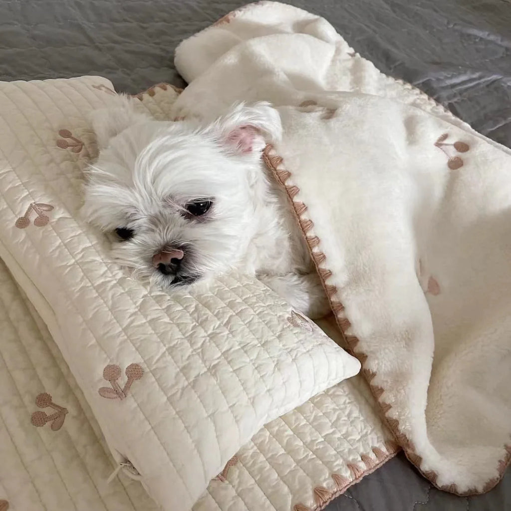 3Pcs /Set Dog Bed Set with Pillow Mattress Comforter Removable Washable Cat Nest Soft Comfortable Pet Supplies Dog Accessories