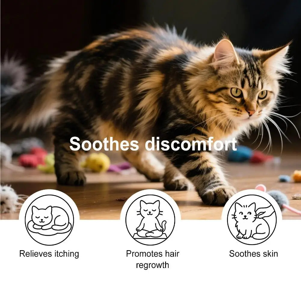 60 Tablets Cat Immunity Chewable Supplements For Skin Health Immune System Strengthening Adults Pet Nutritional Supplements