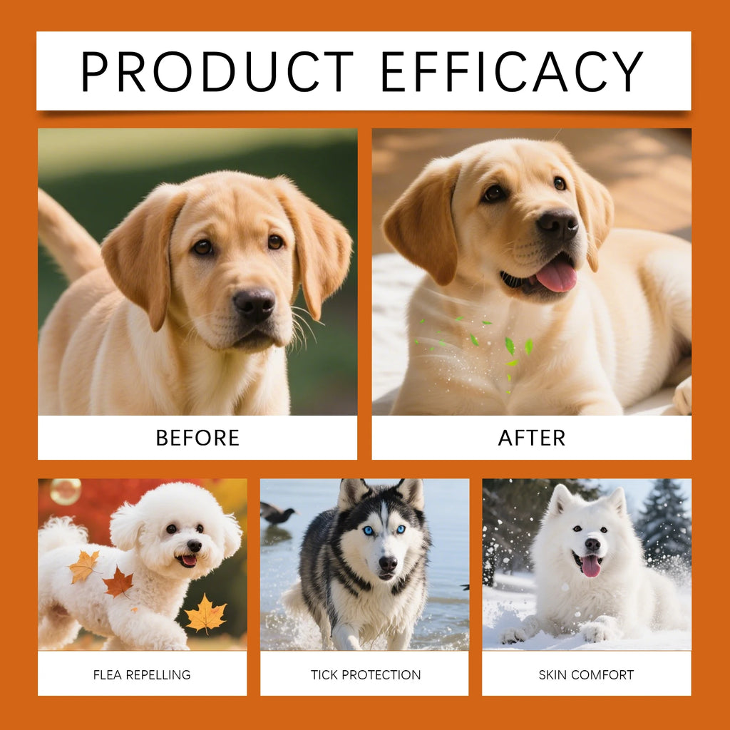 Flea Tick Shampoo for Dogs Cats Moisturizing Eliminate Fleas Ticks Relieve Itching Sooth Skin Long Lasting Pet Grooming Shampoo