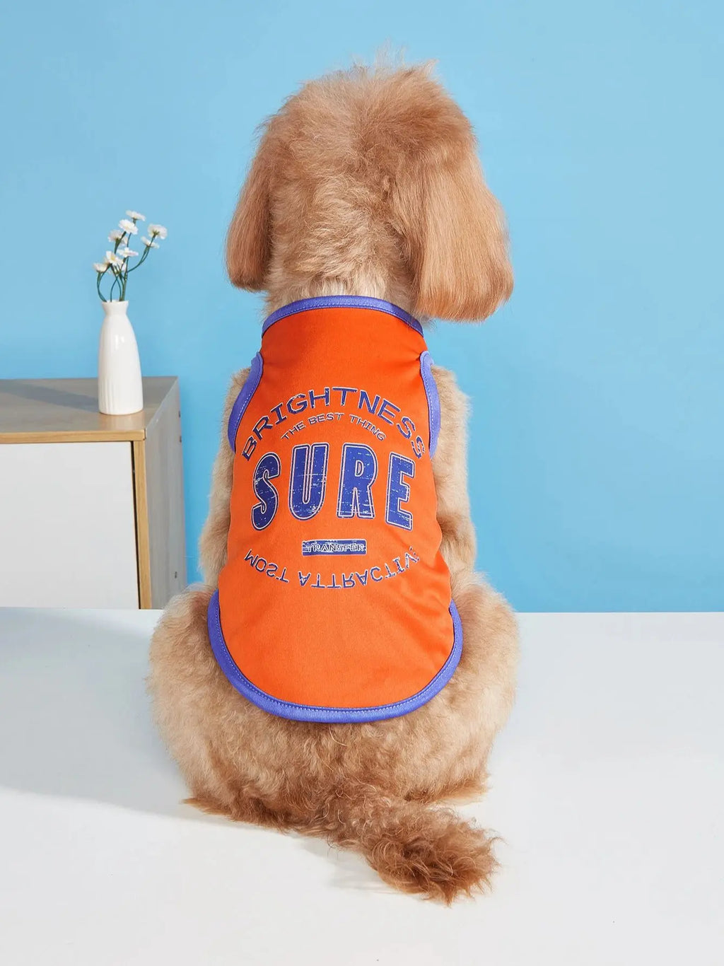 Pet clothes: dog and cat vest Light, breathable, comfortable, simple, generous, fresh and cute, suitable for all seasons