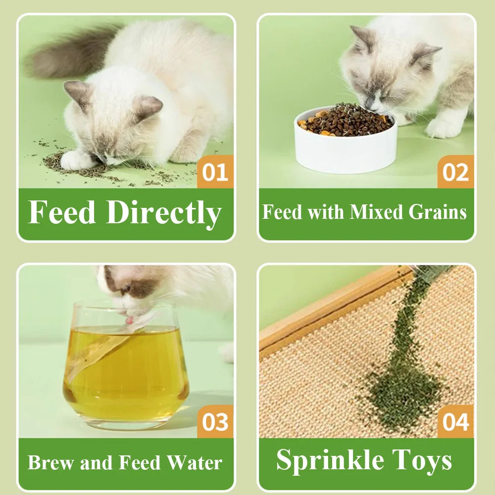 15 Pack Cat Catnip Tea Bags Natural Catnips Packets for Cat or Toy Soaking Water Replacement Pouch Cat Grass Promote Active Play