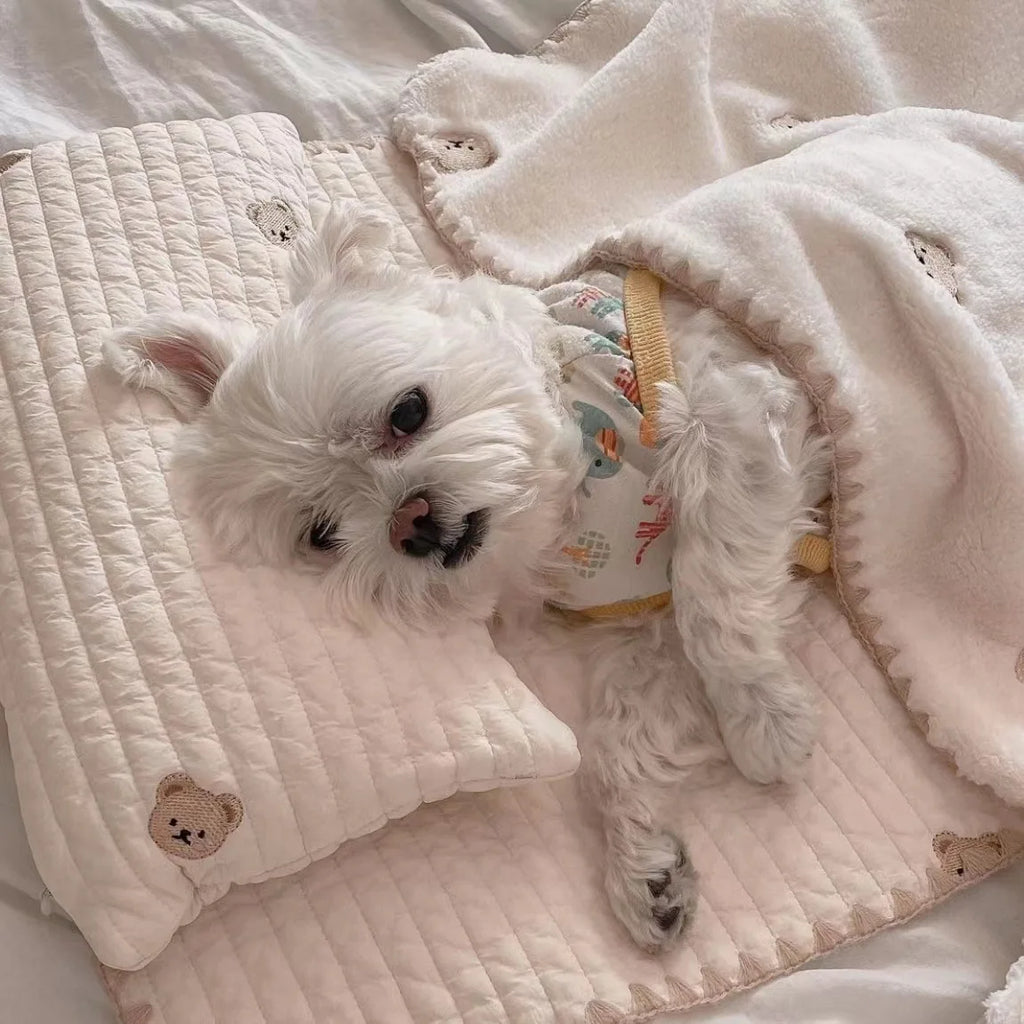 3Pcs /Set Dog Bed Set with Pillow Mattress Comforter Removable Washable Cat Nest Soft Comfortable Pet Supplies Dog Accessories