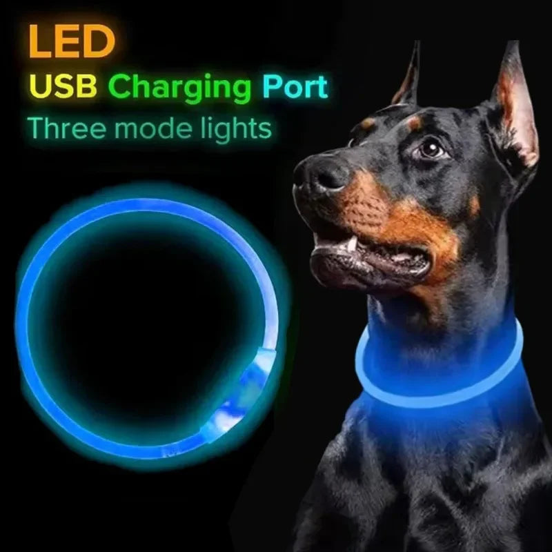 B Pet dog LED collar - Dog loss prevention collar - Adjustable collar - Safe USB charging collar - Pet supplies For use at night