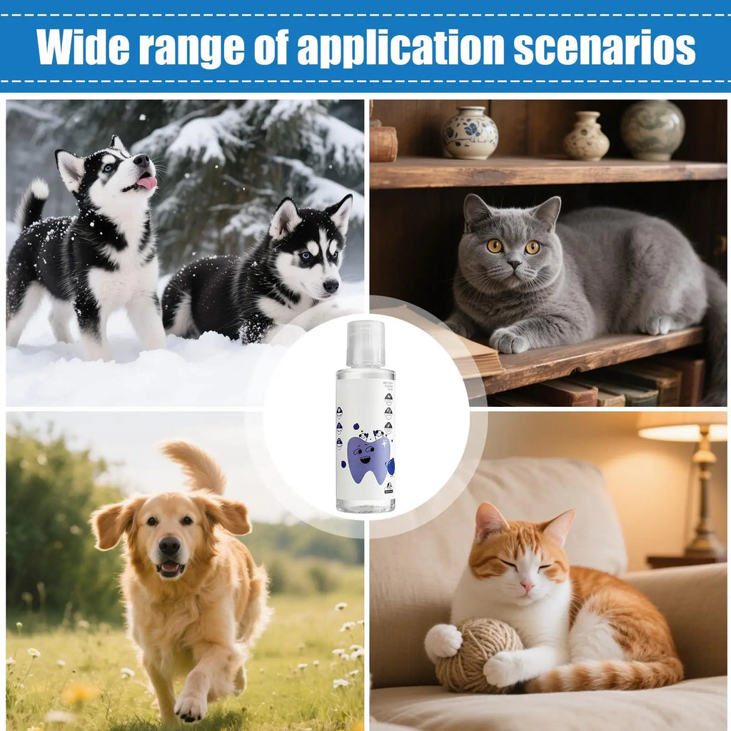 200ml Dog Water Additive For Teeth Care Natural Cat Breath Freshener Solution For Indoor Outdoor Travel Brushing Grooming Health