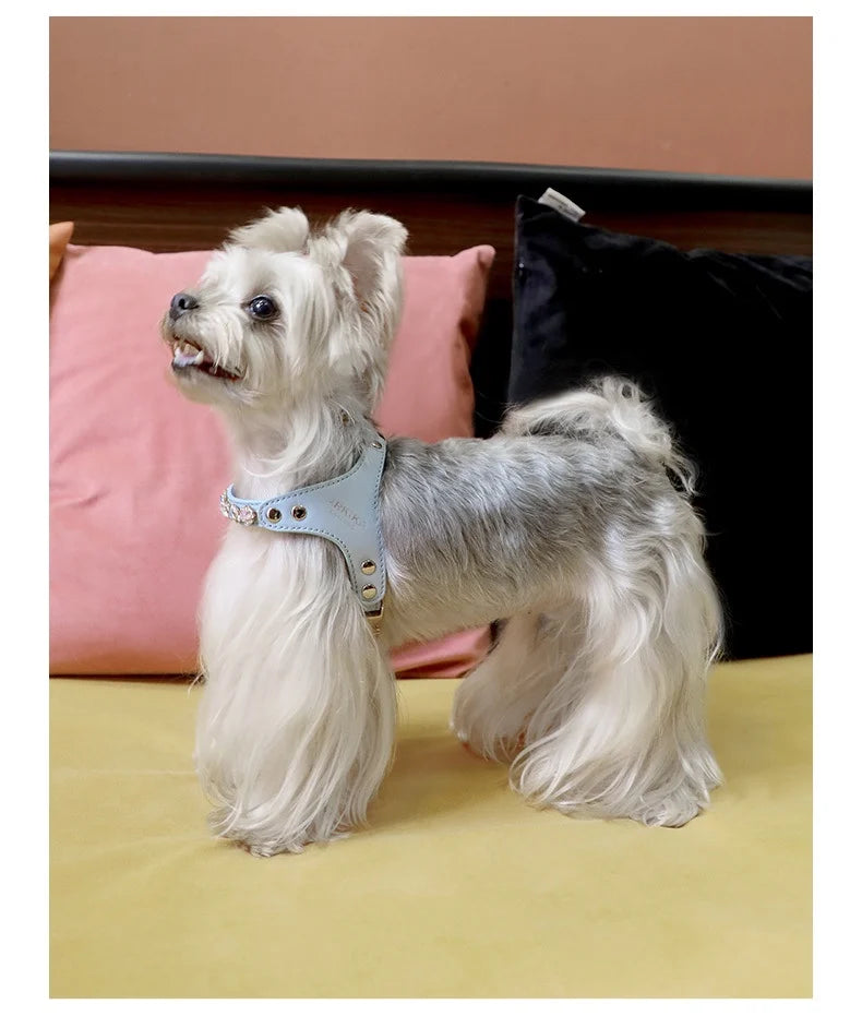 Arkika Dog Leash Small Dogs Chest Back Type Yorkie Teddy Pet out Walking Rope Non-Extensible Durable Pet Supplies
