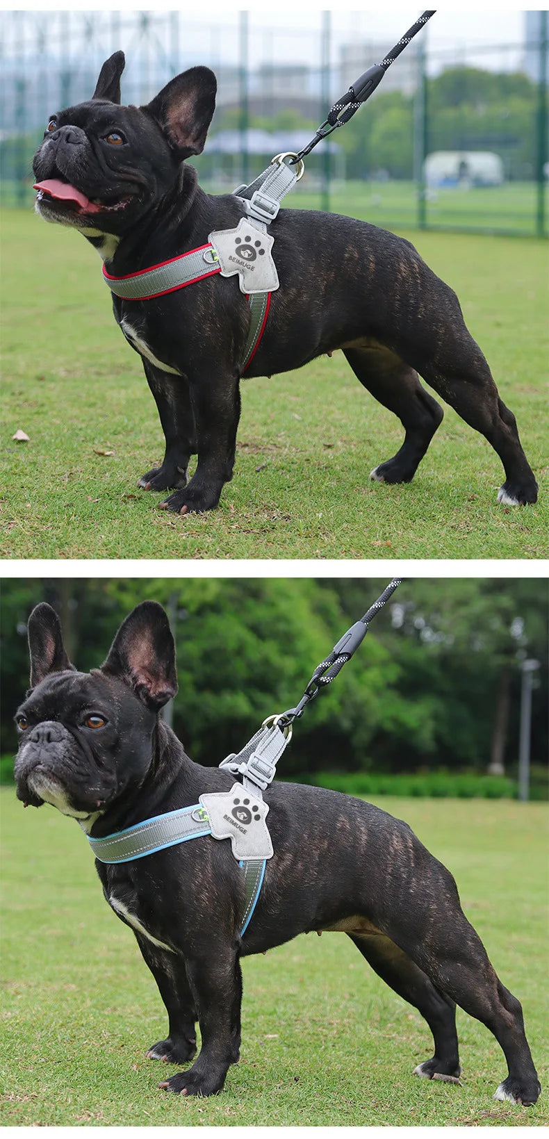Dog Y shaped harness no pull reflective adjustable breathable and comfortable for small medium dogs walking training outdoor