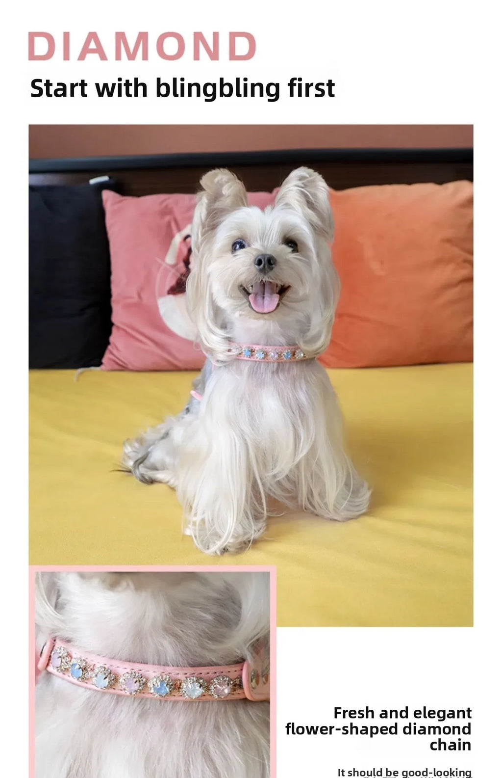 Arkika Dog Leash Small Dogs Chest Back Type Yorkie Teddy Pet out Walking Rope Non-Extensible Durable Pet Supplies