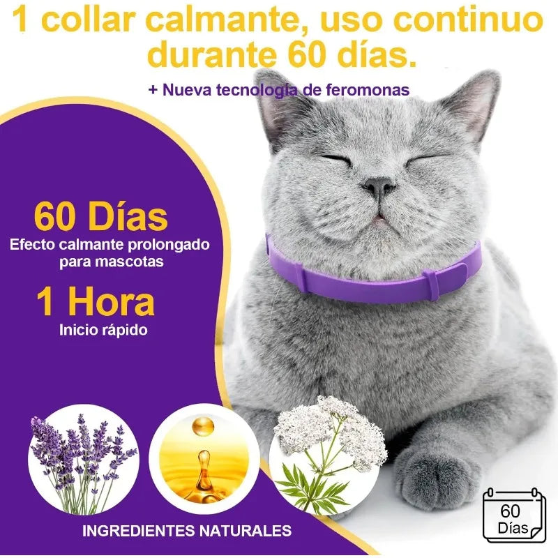Cat Anxiety Relief Collar - 4 Pack Natural Calming Agent Odorant To Relieve Stress and Aggressive Behavior Adjustable Tightness