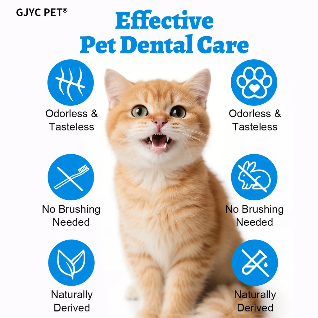 Cat Dental Water Additive No Brushing Needed Freshens Breath Plaque Tartar Control Odorless Tasteless for All Cats Kittens