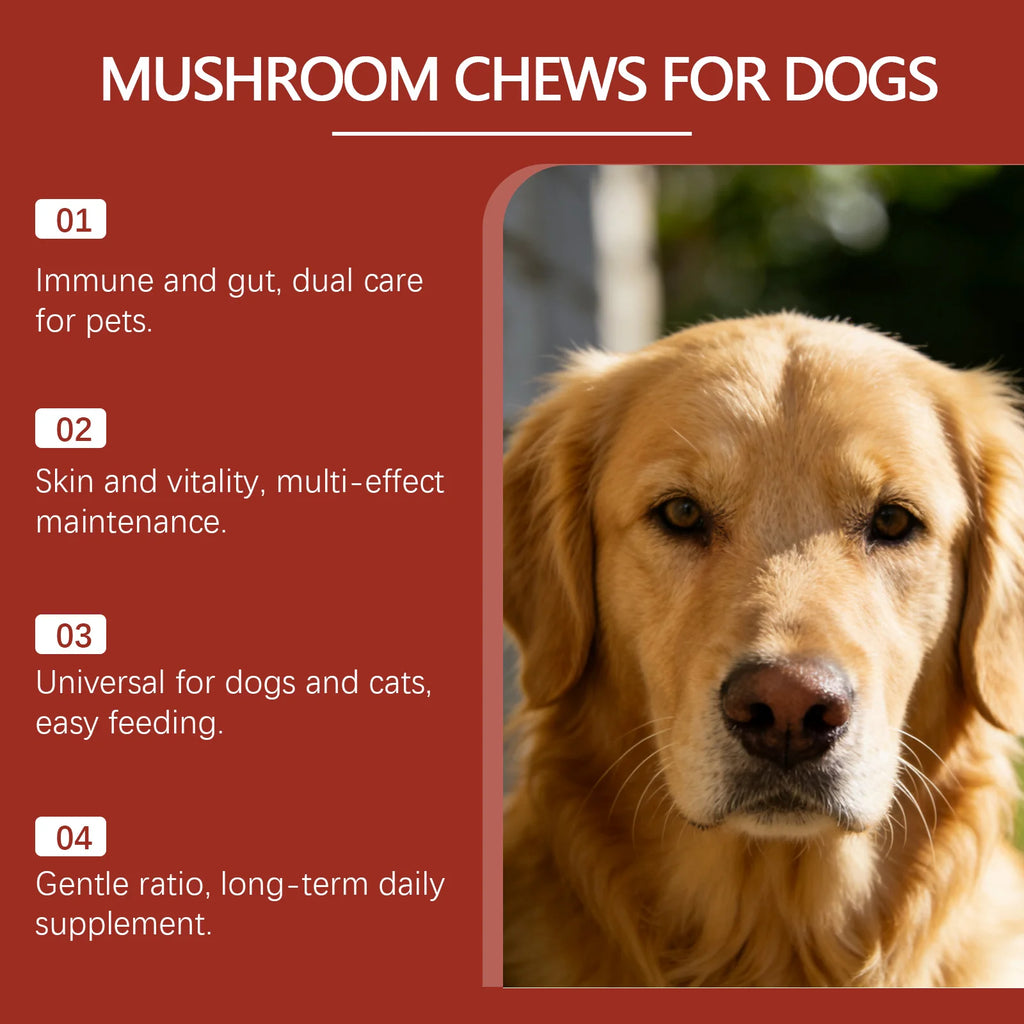 Kriath Beef Flavor Dog Nutrition Chews Improve Pet Vitality Balance Intestinal Flora Skin Coat Wellness Boost Body Defense 200g
