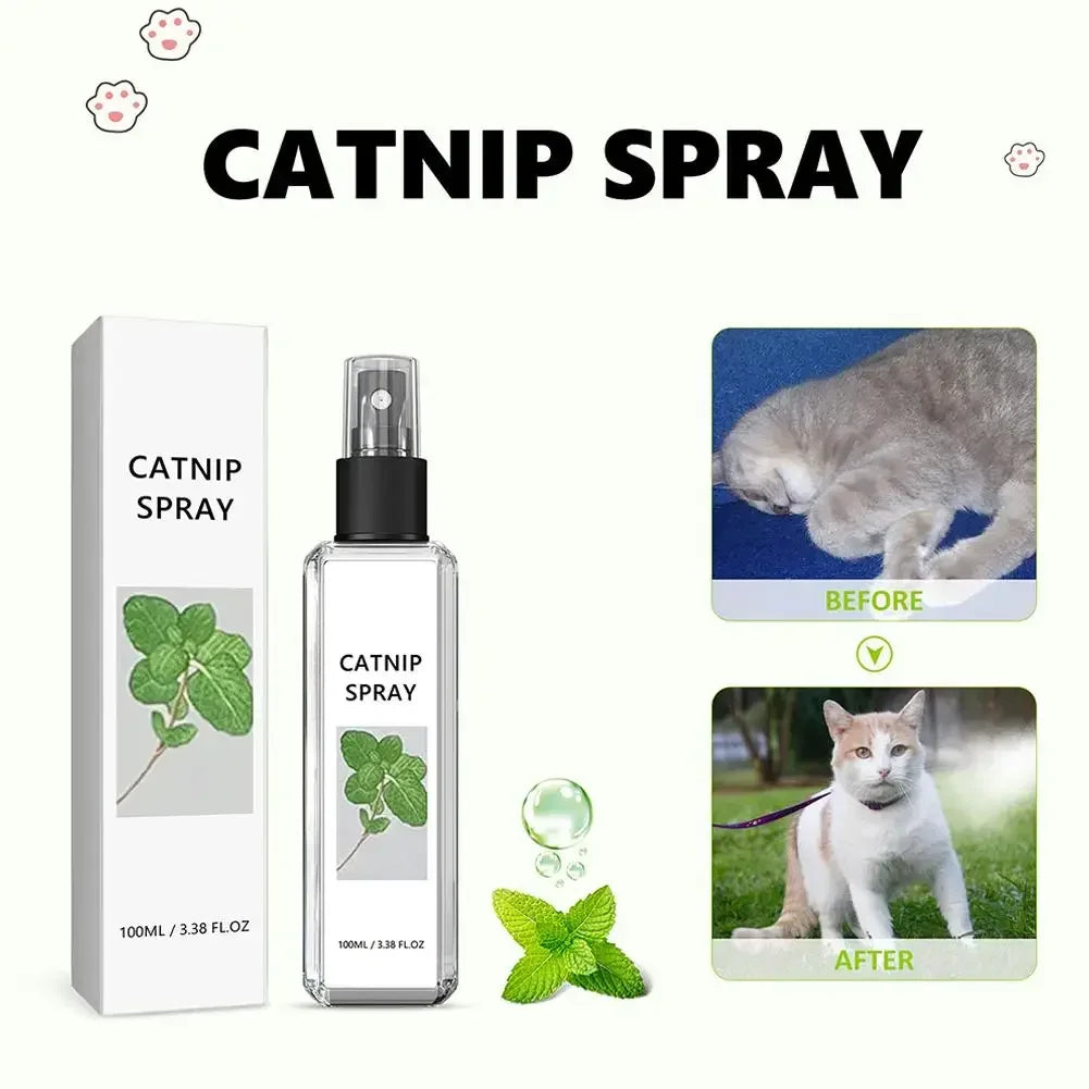 Cat Mint Calming Spray Anxiety Relief Increase Vitality Catnip Infused No Mess Pet Behavior Training Interactive Cat Toy for Cat