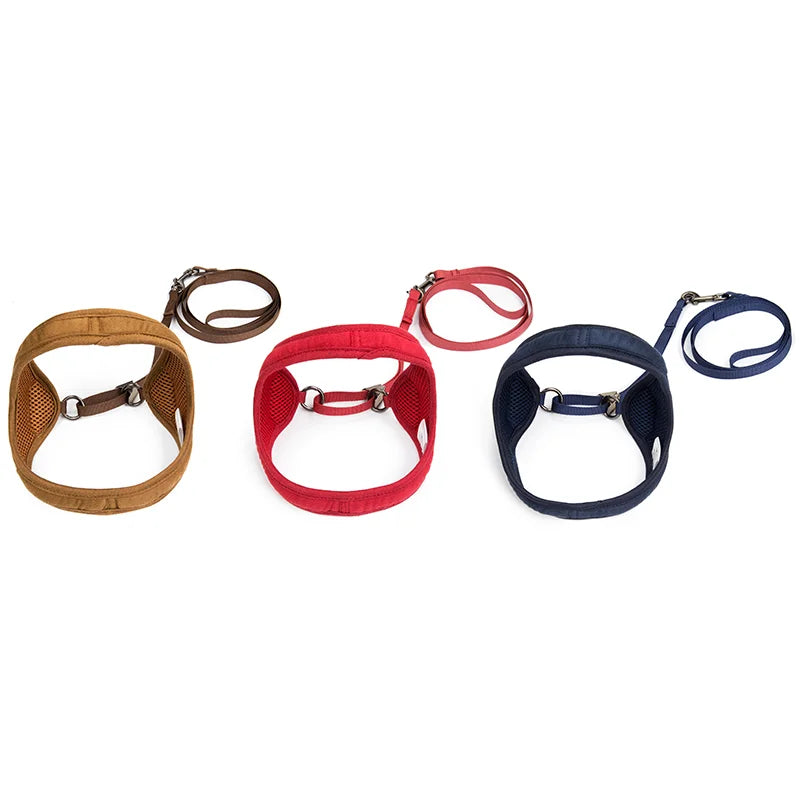 Pet dog walking harness and leash, suitable for puppies, small to medium dogs, ideal choice for training, travel, and daily wear