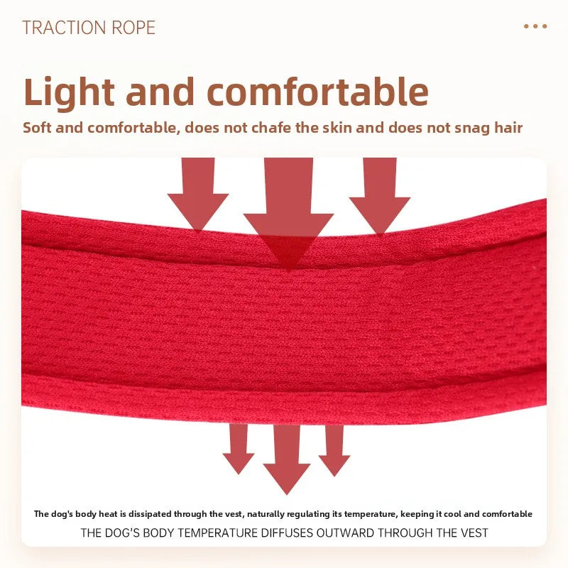 Dog Y shaped harness no pull reflective adjustable breathable and comfortable for small medium dogs walking training outdoor
