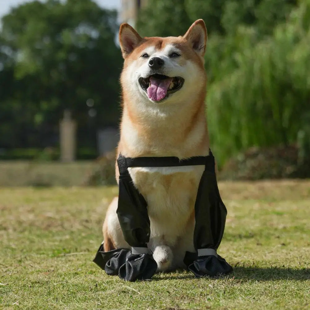 Best Anti-Slip Dog Shoes Pet Paw Protector Dog Rain Outdoor & Suspender Dog Dog Dirty-proof Shoes Anti-fall Booties, Sock S7G9