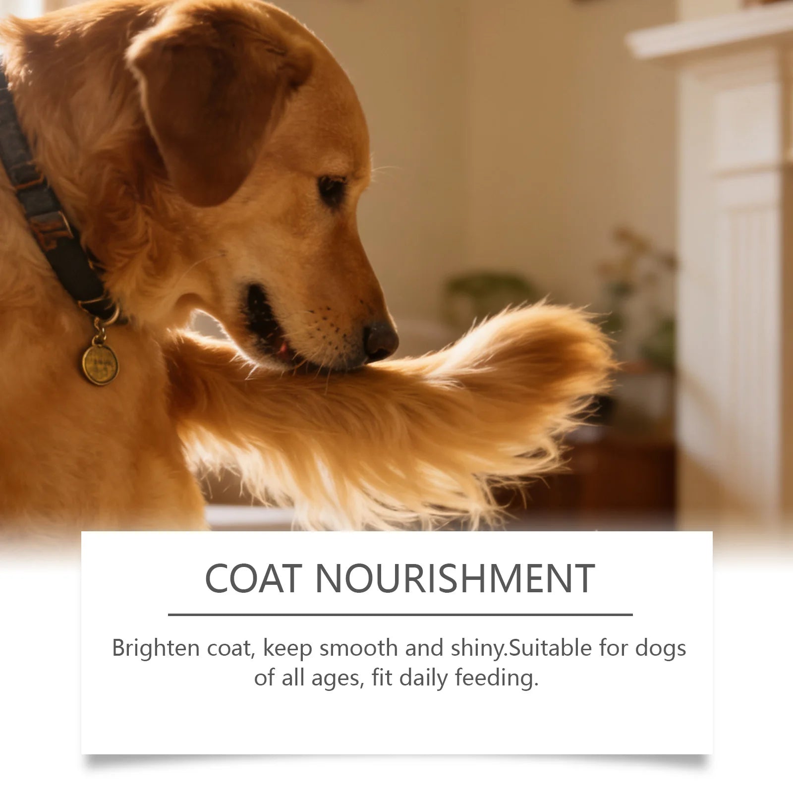 Kriath Beef Flavor Dog Nutrition Chews Improve Pet Vitality Balance Intestinal Flora Skin Coat Wellness Boost Body Defense 200g
