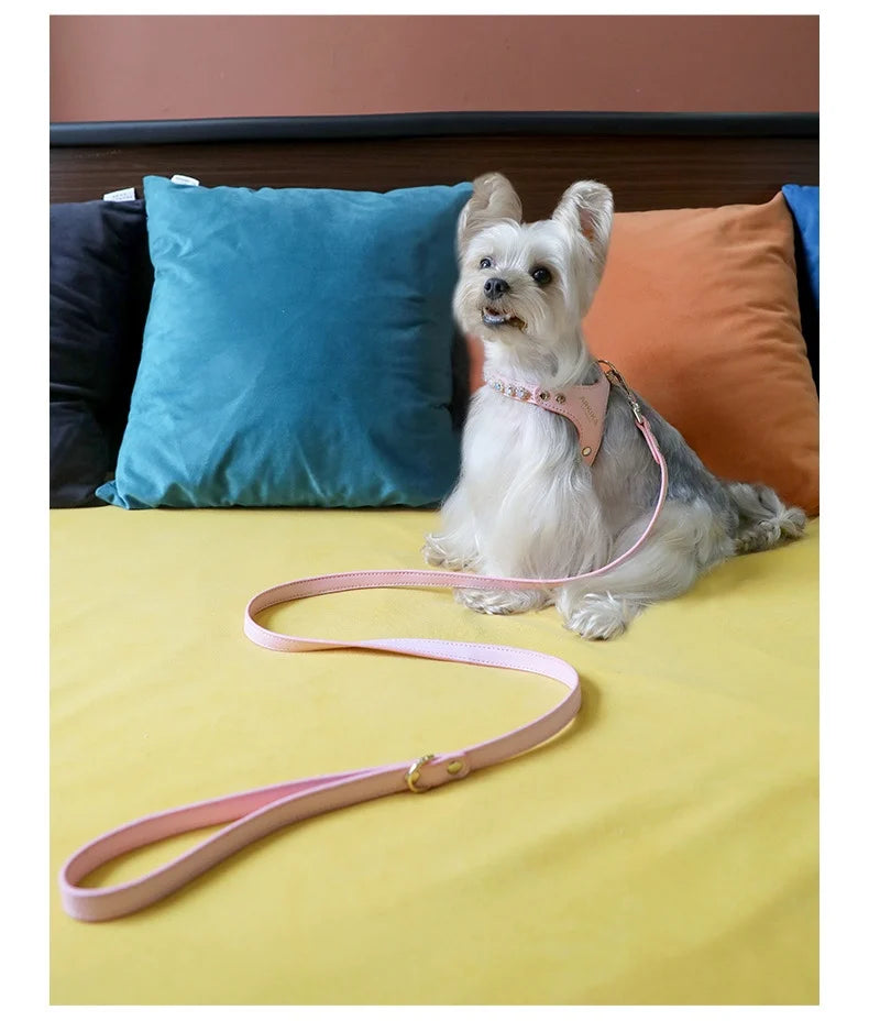 Arkika Dog Leash Small Dogs Chest Back Type Yorkie Teddy Pet out Walking Rope Non-Extensible Durable Pet Supplies