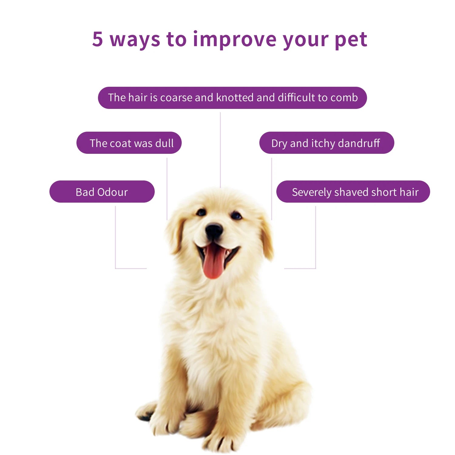 228ml PET Cleaning High Quality Safe Pet Dog Shampoo Body Wash Tender Skin Odor Removing Cleansing Petcleaning for Dogs Cats