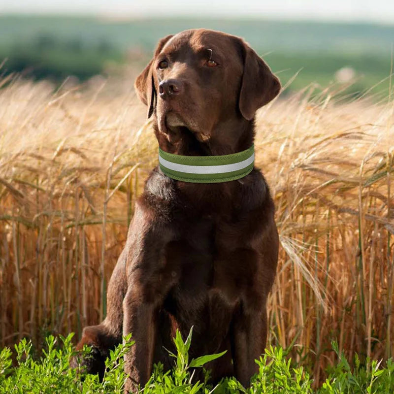 Reflective Solid Color Dog Collar  Polyester Breathable & Comfortable, Anti-Choke Adjustable Pet Collar