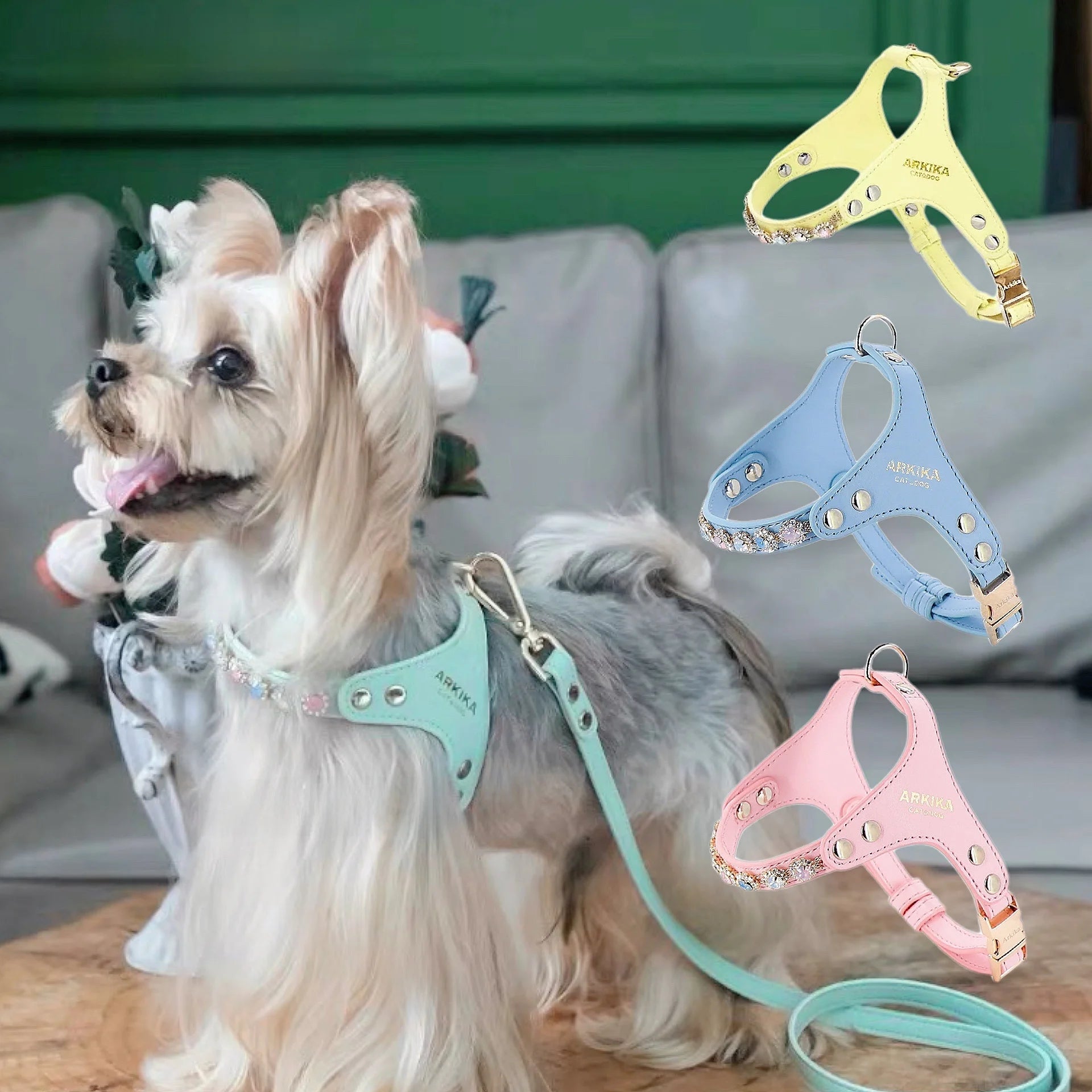Arkika Dog Leash Small Dogs Chest Back Type Yorkie Teddy Pet out Walking Rope Non-Extensible Durable Pet Supplies