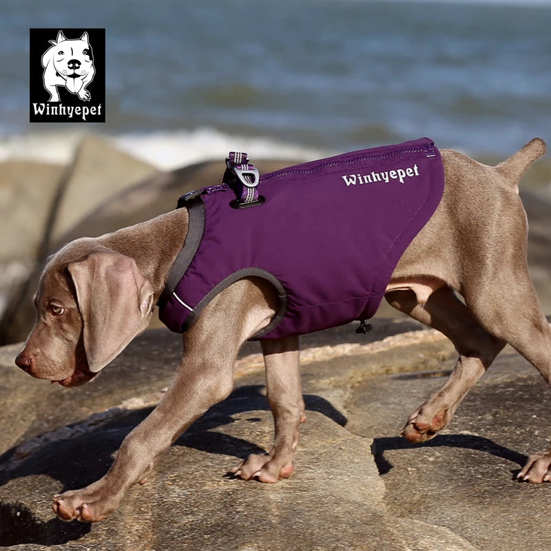 Winhyepet Waterproof Dog Cloth Puppy Warmth Winter Jacket Dogs Harness Double Zipper Reflective Windbreak Luxury Dog Clothes