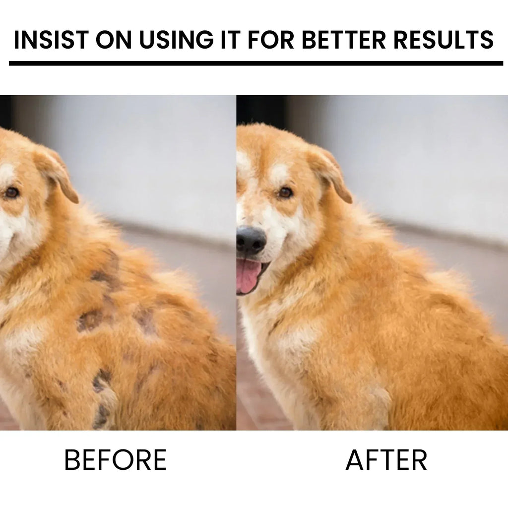 Dog Hair Loss Treatments Supplements for Dogs Cats Non-Toxic Safe Ingredient Use on Body Promotes Hair Growth
