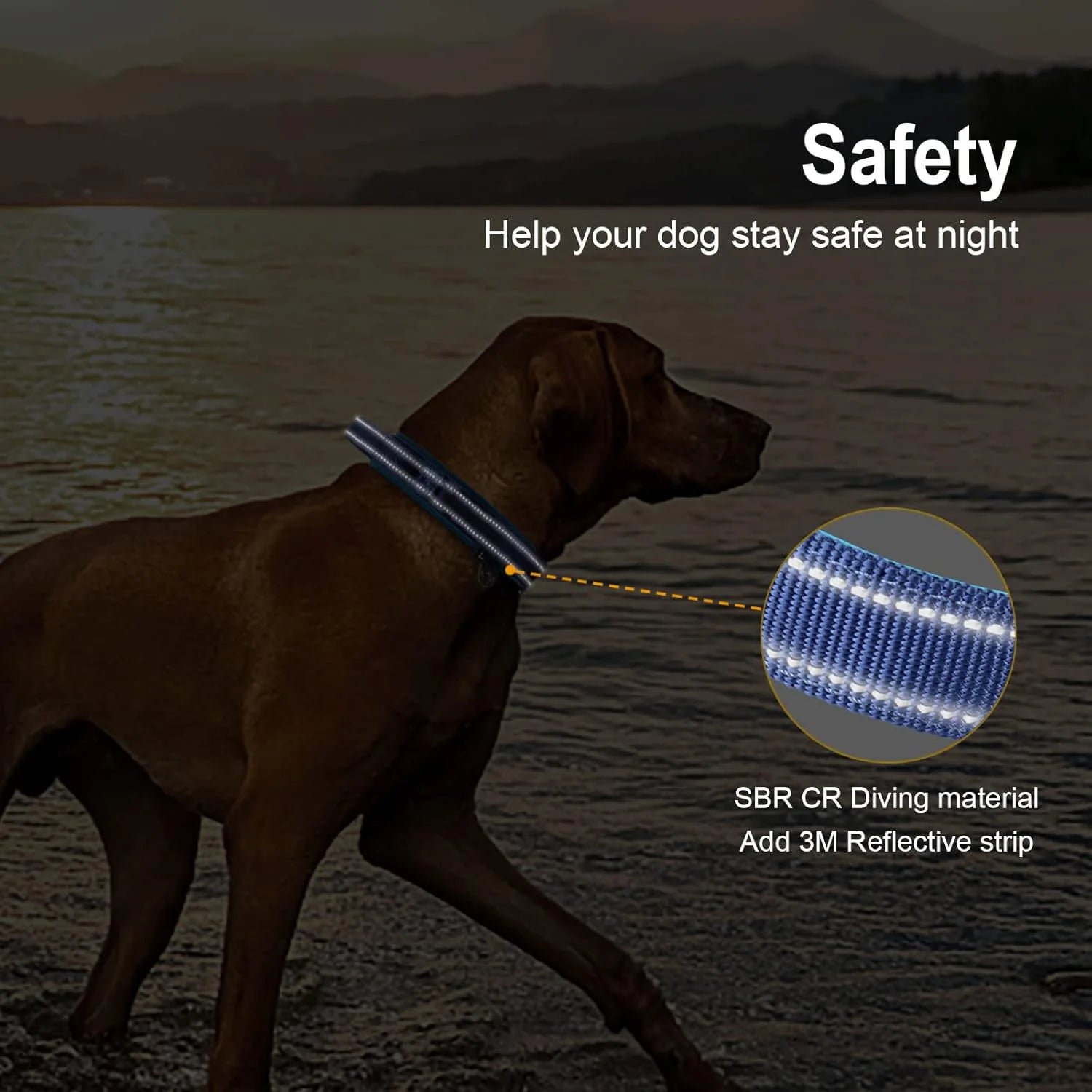 Heavy Duty Tactical Dog Collar, Military Collars with Handle, Training, Walking, Medium and Large Dogs Accessories