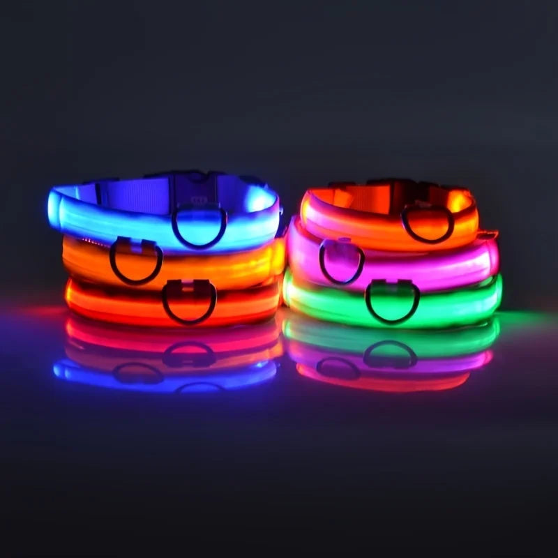 LED Glow Dog Leash with Luminous Collar – Night Safety Flashing Nylon Lead for Dogs