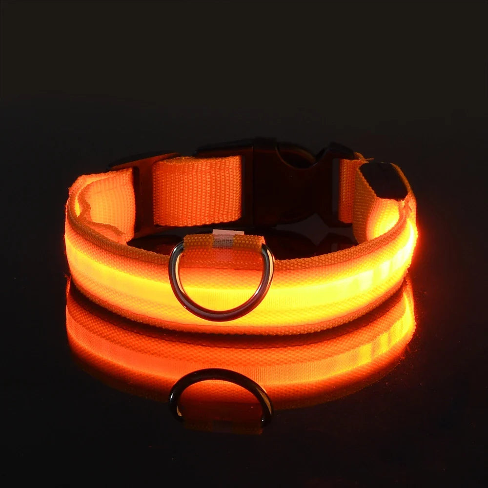 LED Glow Dog Leash with Luminous Collar – Night Safety Flashing Nylon Lead for Dogs - Orange / M