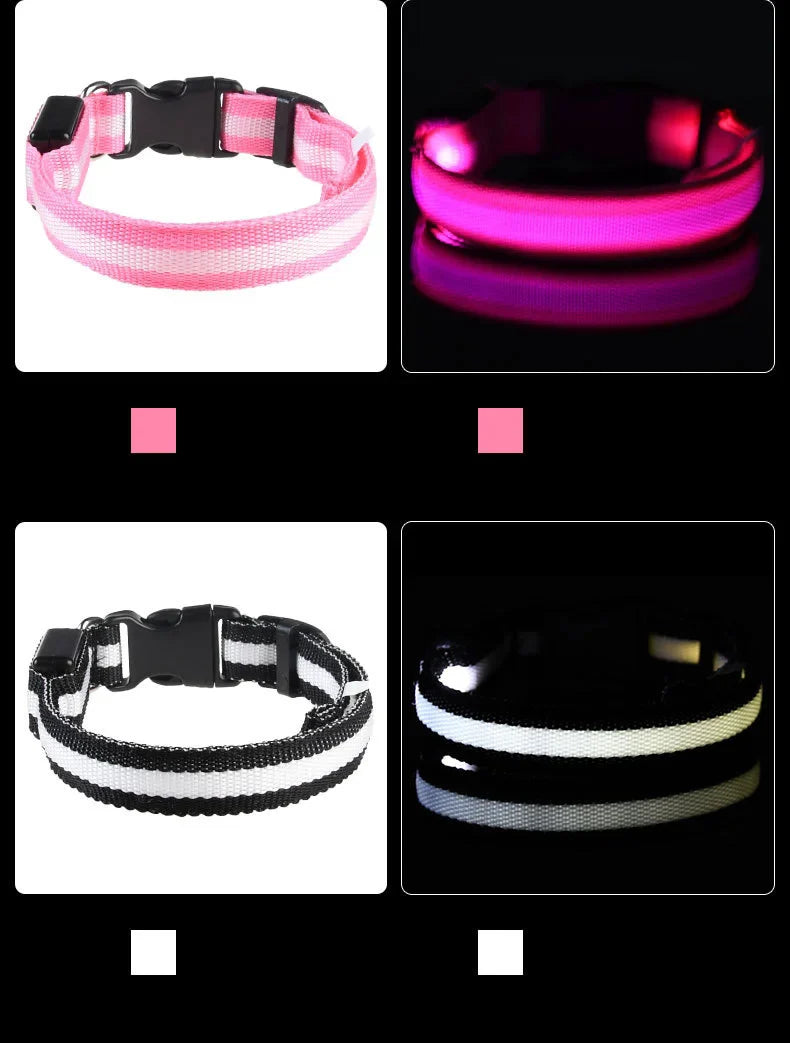 LED Glow Dog Leash with Luminous Collar – Night Safety Flashing Nylon Lead for Dogs