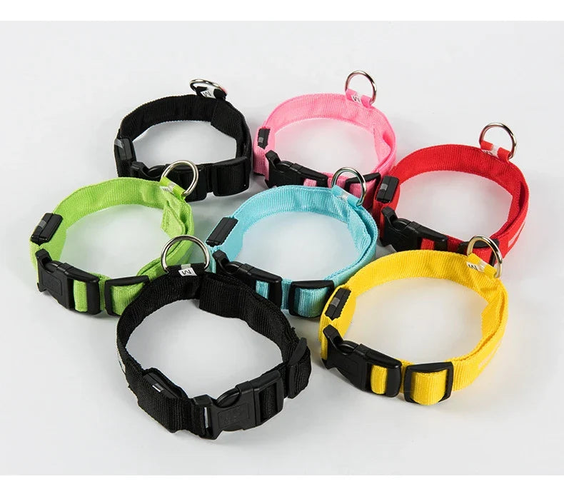 LED Glow Dog Leash with Luminous Collar – Night Safety Flashing Nylon Lead for Dogs