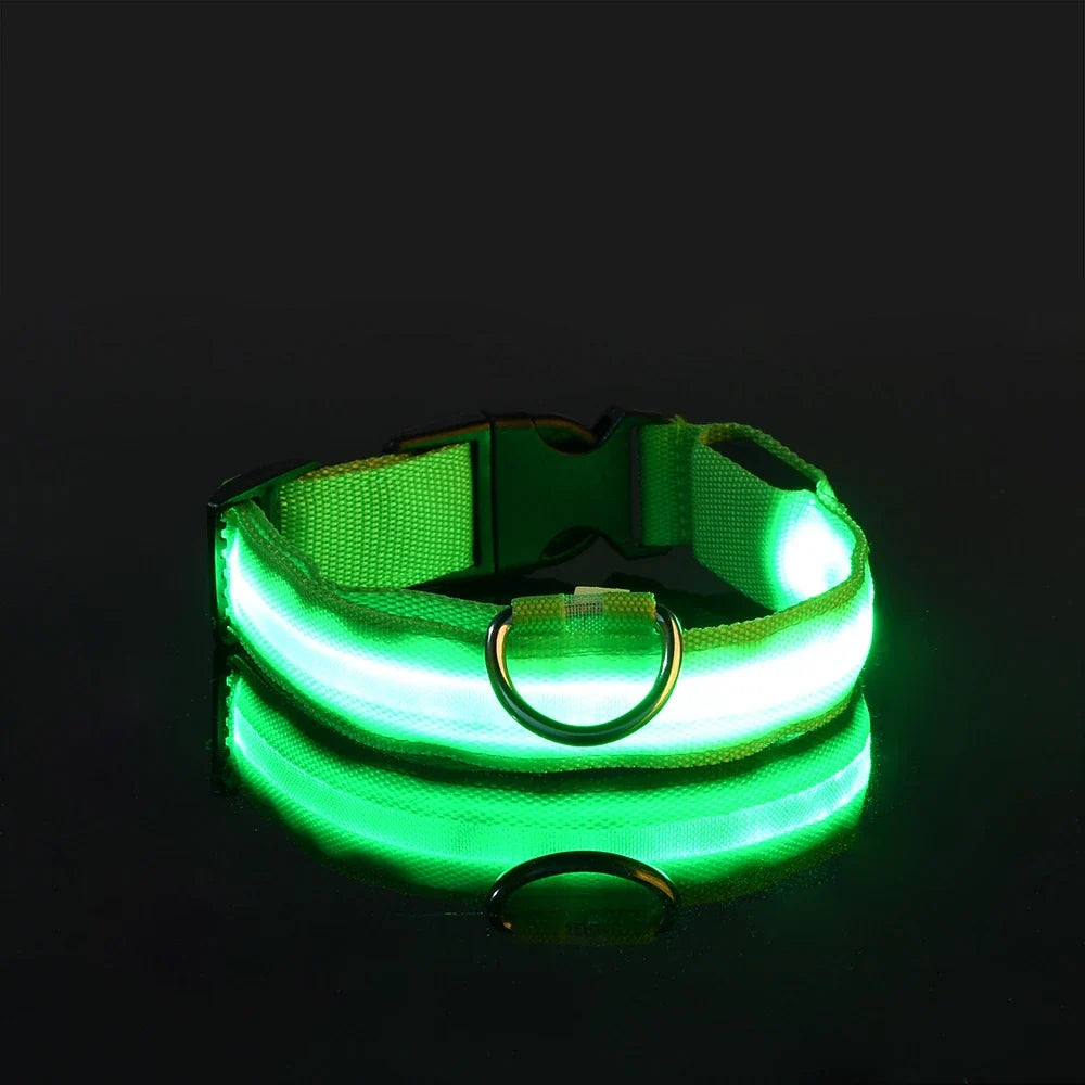 LED Glow Dog Leash with Luminous Collar – Night Safety Flashing Nylon Lead for Dogs - green / XS（old）