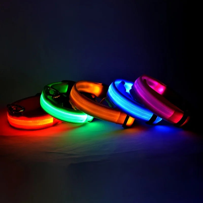 LED Glow Dog Leash with Luminous Collar – Night Safety Flashing Nylon Lead for Dogs