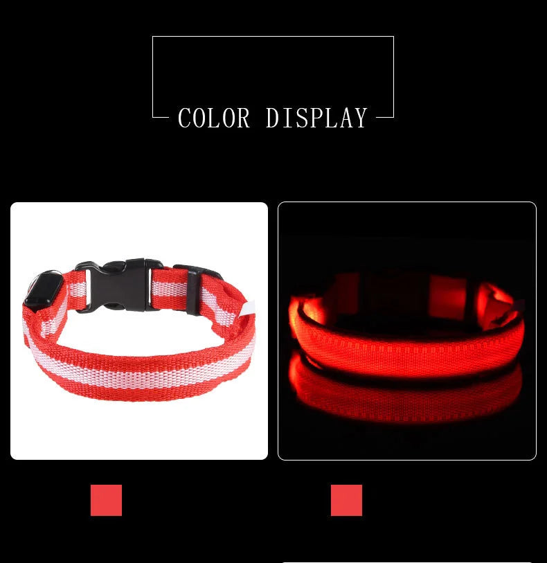 LED Glow Dog Leash with Luminous Collar – Night Safety Flashing Nylon Lead for Dogs