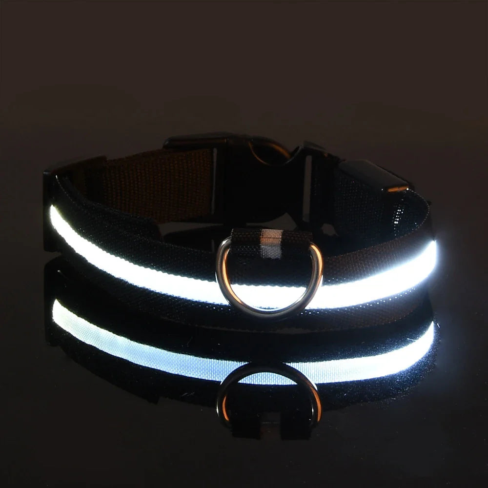 LED Glow Dog Leash with Luminous Collar – Night Safety Flashing Nylon Lead for Dogs - black / XS（old）