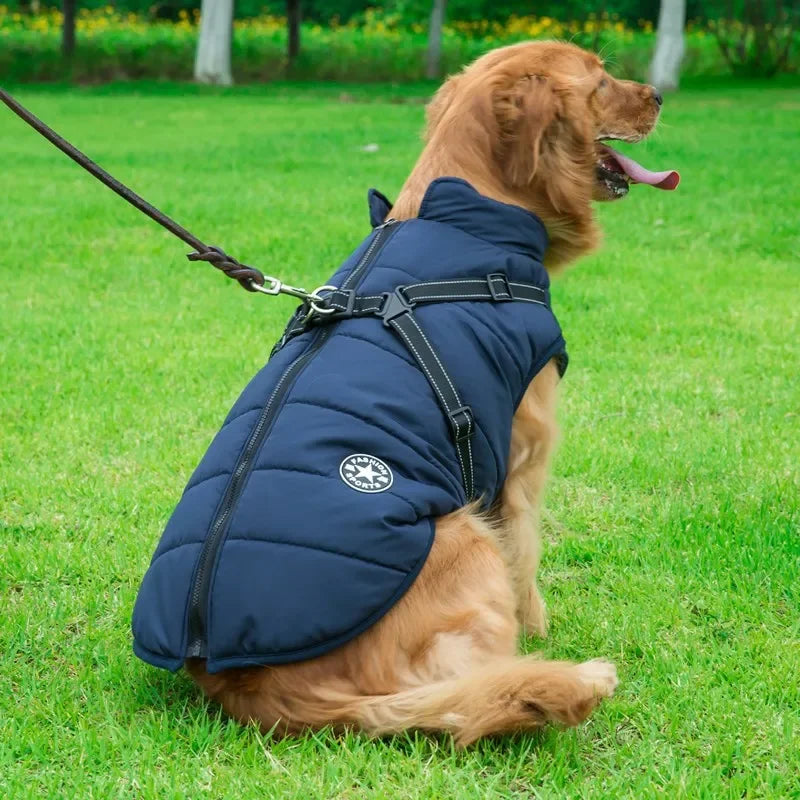 Warm Waterproof Winter Coat for Small Medium & Large Dogs